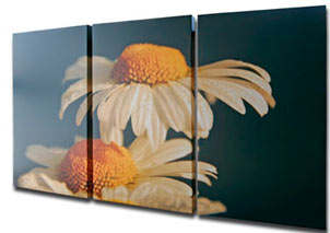 photo canvas prints flower triptych