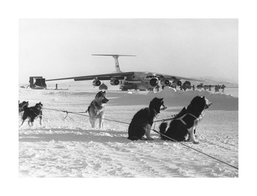 Canvas-Prints-Husky-Dogs-&-Starlifter-Antarctica