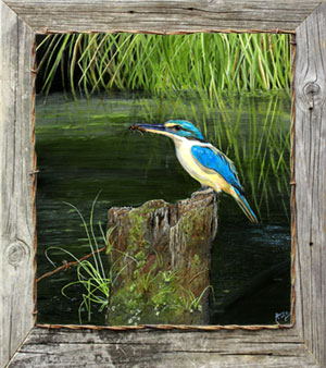 giclee-print-kingfisher-canvas